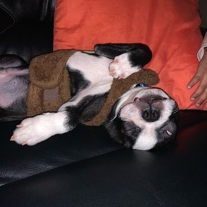 Meet your Posher, Obed